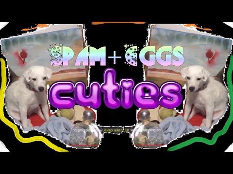 Urology Surgery Update, Spliff,  Music, Breakfast, UPS awaiting ChiBattery System Battyer BoardBank