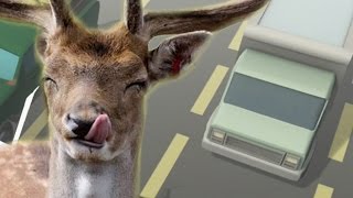 UN CIERVO EN LA AUTOPISTA !! - Infinideer | Fernanfloo