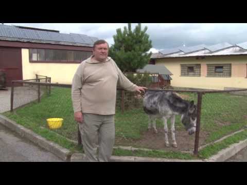 Kozí farma Pěnčín