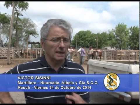 Hourcade Albelo y Cía. S.C.C. - Nota Victor Sisinni - Rauch - 24/10/2014