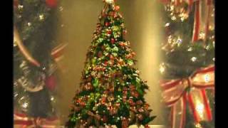 This Christmas by Billy Paul Williams