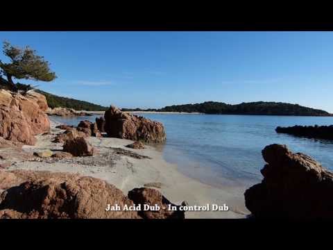 Jah Acid Dub - In control Dub