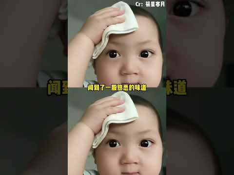 邊牧：平時打我也就一根，這次一捆，是不想我活了啊？！ #邊牧 #挨揍 #搞笑 （cr：筱星寒月 ）