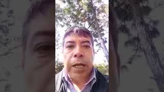 Testimonio del programa Docente Tutor desde Guatemala