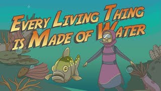 Video: In Quran 21:30, God reveals every Living thing is made of Water - Free Quran Education