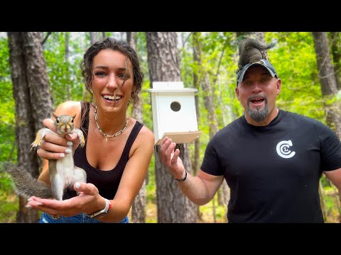 Releasing Our BABY SQUIRRELS Into the Wild | The Time has Finally Come
