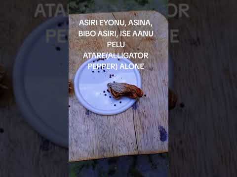 Eyonu asina bibo asiri