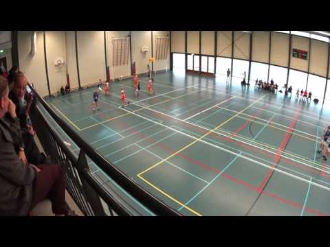 Samenvatting Avanti C1 - Weidevogels C1 (19-11-2016)