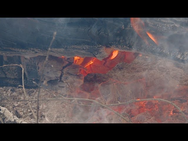 Иркутская область на первом месте по лесным пожарам