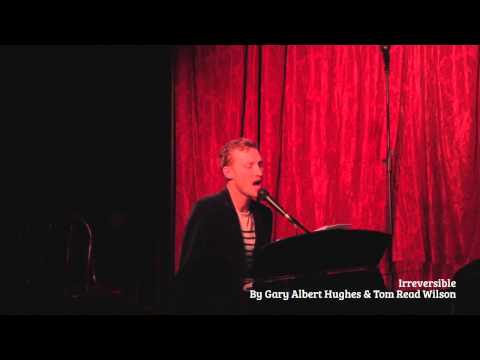 Irreversible by Gary Albert Hughes & Tom Read Wilson - The Writers' Playground