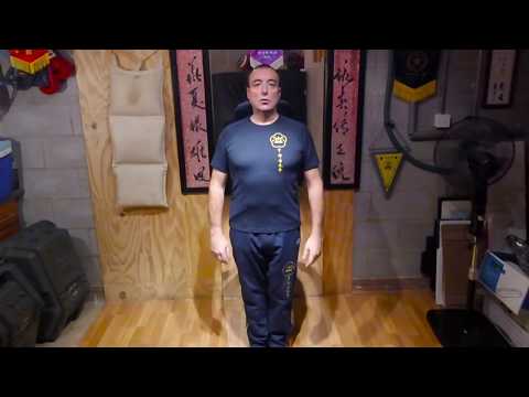 Simply Wing Chun Kuen - Siu Nim Tao part 1, 2017