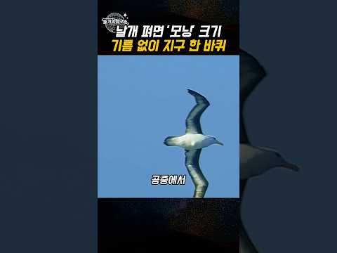 하늘에 떠 있는 '모닝' 한 대... 5년 동안 안 내려옵니다