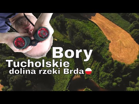 Dolina rzeki Brda - Bory Tucholskie