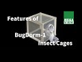 BugDorm DP1000 Insect Rearing Cage