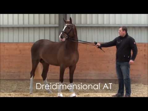 Zu Besuch bei Dressman