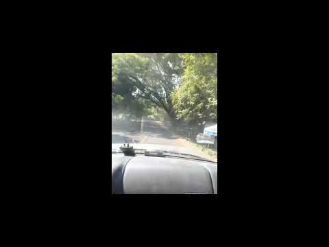 argonaut&wasp - (We're) Alive