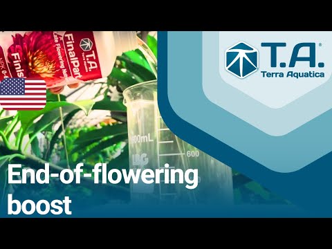 End-of-flowering boost : FinalPart by Terra Aquatica