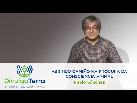 Vídeo: Abrindo camiño na procura da consciencia animal