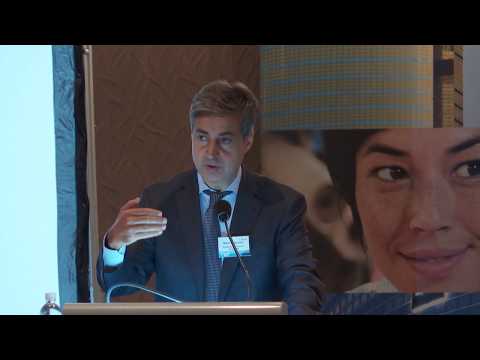 2017 Coface Country Risk Conference in Singapore - Introduction and Keynote Speech