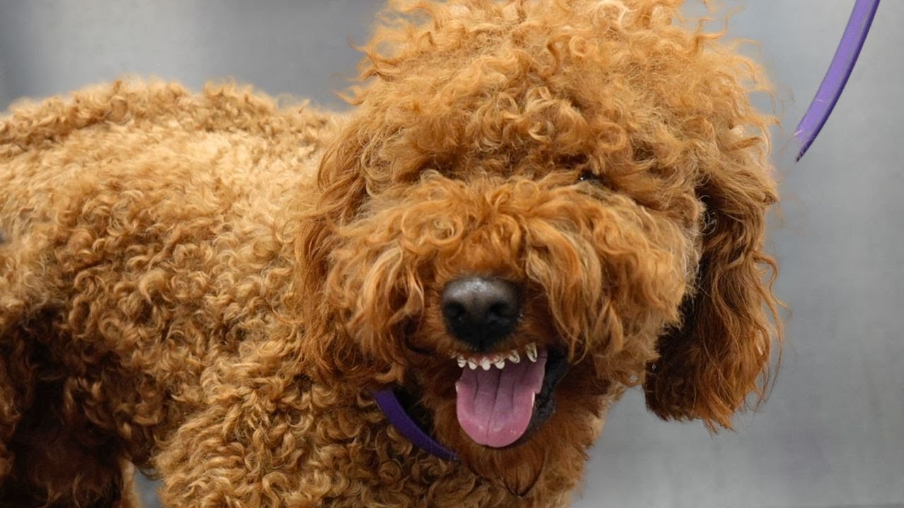 That's what you call hazard pay