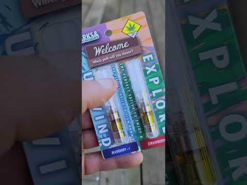 1 GRAM - 2 .05 CARTS.