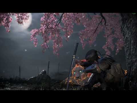 Nioh 2 Complete Edition Cain's Playthrough Part 46