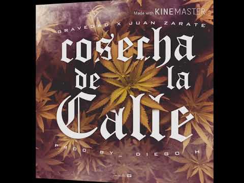 "Cosecha de la Calle" - el Grave feat. Juan Zarate prod.x Diego H de Weflymusic