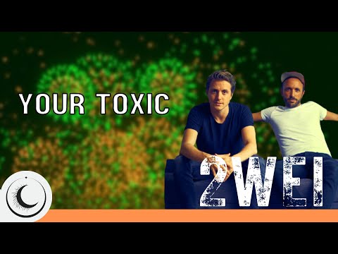 Toxic but the 2WEI cover AGAIN!?!(Fireworks Simulator)