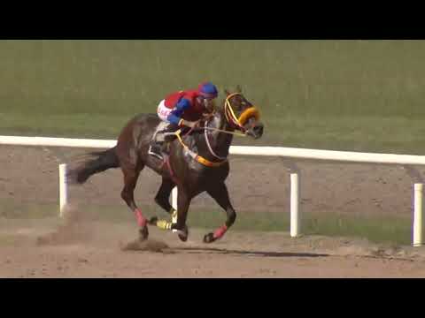 4/25/2026 – Hipodromo Paysandu – Carr 8 – 72º ANIVERSARIO DEL HIPÓDROMO "SAN FÉLIX"