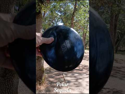 Sequoia Returns! #discgolf #agldiscs #teamagl #teeboxsox #bergsbags #sports