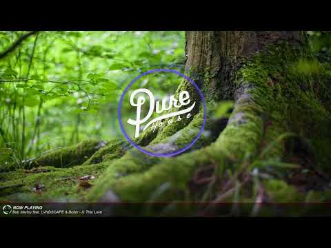 Bob Marley feat. LVNDSCAPE & Boiler - Is This Love