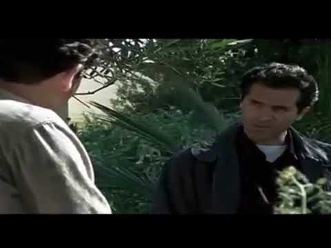 Simm Gent miezz a via