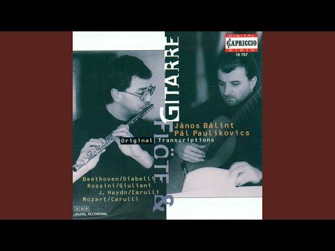 Potpourri (after Beethoven) : Pot-pourri (after L. van Beethoven's Symphony Nos. 4 and 2, Opp....