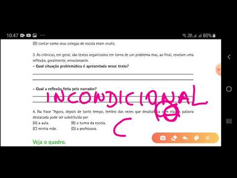 Correção das pág. 23 à  33.  PAIC