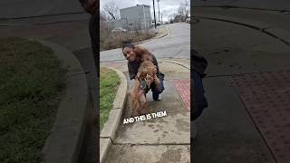 She found her missing dog in the woods ❤️