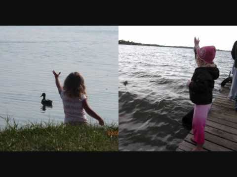 Biosphere & Higher Intelligence Agency - Cannon Hill