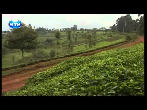 Eco Journal: 22/06/2011