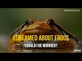 I Dreamed About Frogs - Should I Be Worried?