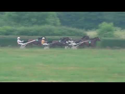 Trka "Srđan Petrović-Čibi" 11.6.2022. Dasty S.G. - Grujic Sasa