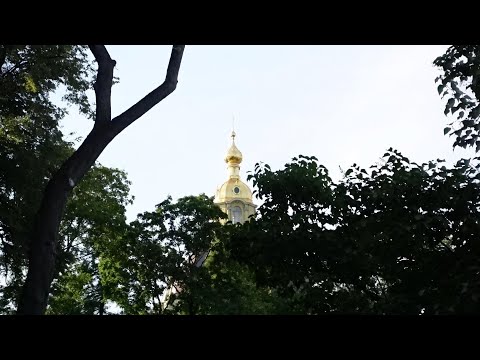 Vlog-11 23/07/2023 (My journey to St. Petersburg).