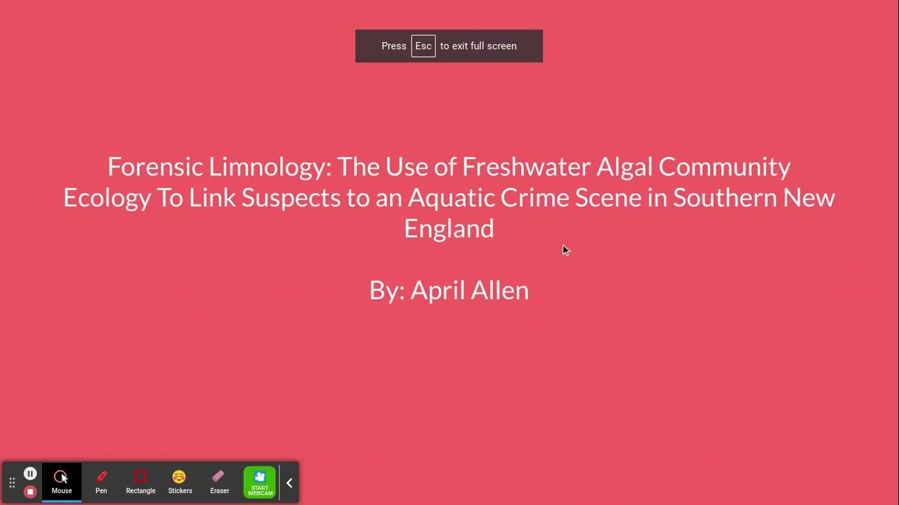 Module 4: Second Case Study