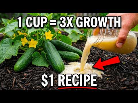 Vegetables Will TRIPLE In Size Overnight — Pour This $1 Recipe Once
