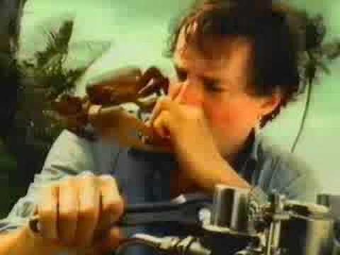 Carling beer advert - crab on desert island