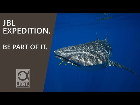 JBL EXPEDITION - BE PART OF IT!