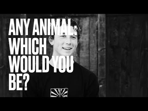 Dropping In with Griffin Colapinto