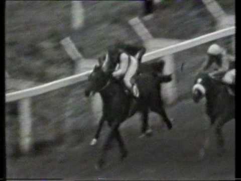 1970 Irish Sweeps Derby