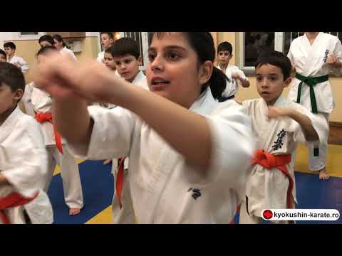 Goshin-Ryu Examen de grad 19.11.2019