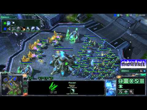 Grubby (P) vs Sterling (T)