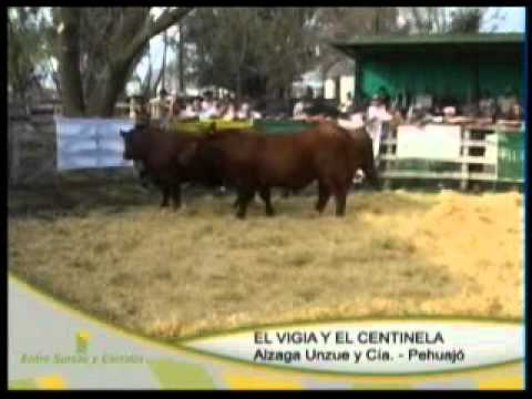 Entre Surcos y Corrales - Programa 31 - Parte 1 de 5