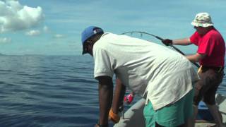 preview picture of video 'Pêche à Madagascar - Green Fishing'